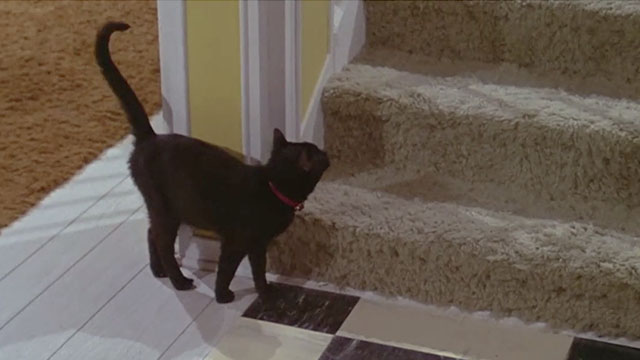 Daddy's Gone A-Hunting - black cat Prissy Bobbie Inn looking up stairs