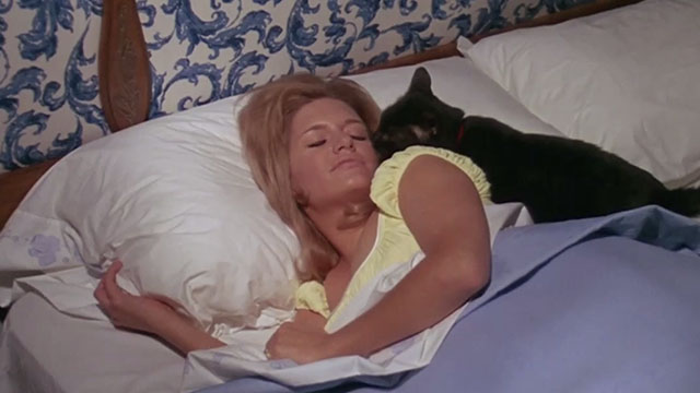 Daddy's Gone A-Hunting - black cat Prissy Bobbie Inn with Cathy Carol White in bed