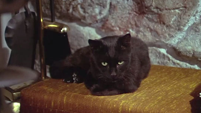 Daddy's Gone A-Hunting - black cat Prissy Bobbie Inn sitting on bench