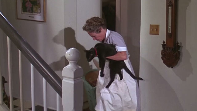 Daddy's Gone A-Hunting - black cat Prissy Bobbie Inn held by Ilsa Mathilda Calnan with carrier