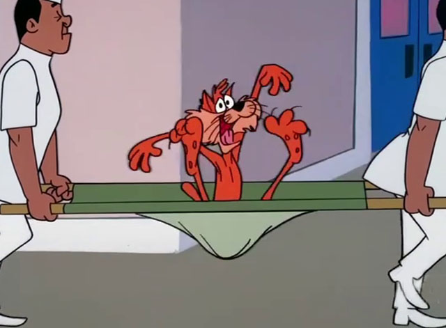 Daffy Rents - cartoon ginger tabby cat going crazy being carried on stretcher by two men