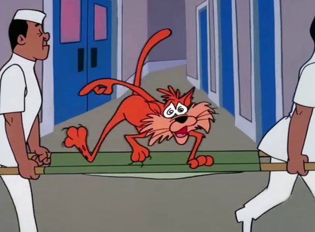 Daffy Rents - cartoon ginger tabby cat going crazy being carried on stretcher by two men
