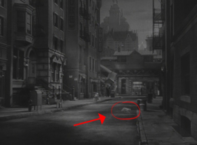 Dance, Girl, Dance - white cat running across empty New York street