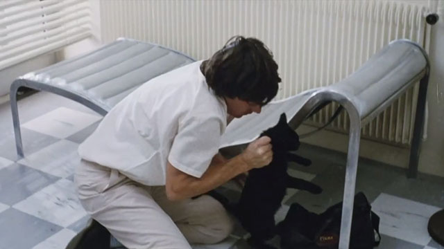 Dangerous Moves - black cat being grabbed by scruff by Miller Jean-Hugues Anglade