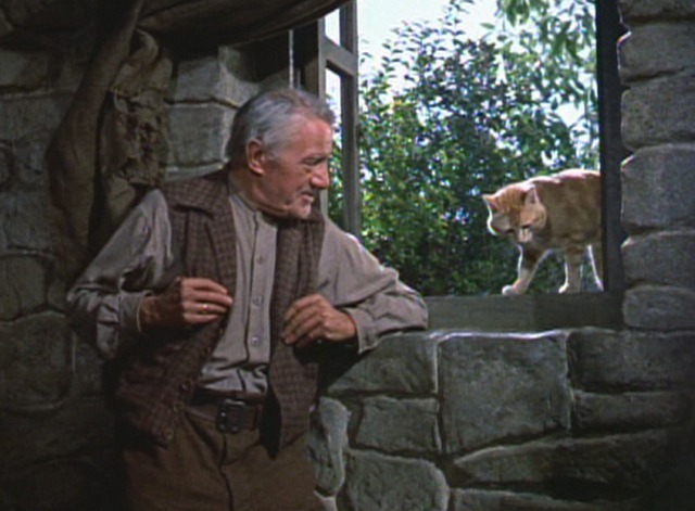 Darby O'Gill and the Little People - Darby Albert Sharpe with orange tabby cat Ginger in window