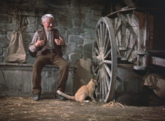 Darby O'Gill and the Little People - Darby O'Gill Albert Sharpe watching orange tabby cat Ginger at wheel