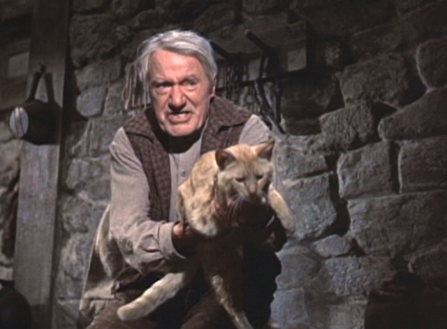 Darby O'Gill and the Little People - orange tabby cat Ginger being held out by Darby Albert Sharpe