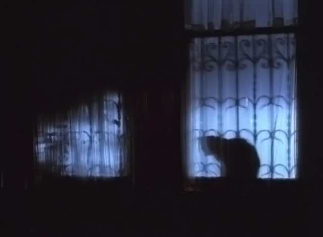 Darker Than Night - longhair black cat Bécquer silhouette in window
