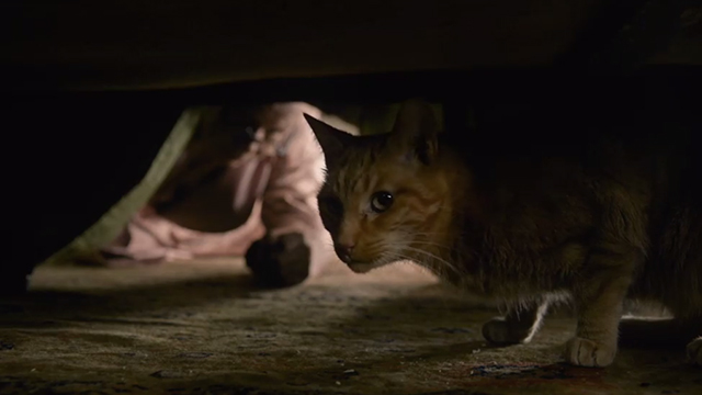 Darkest Hour - ginger tabby cat under Churchill Gary Oldman bed