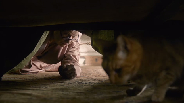 Darkest Hour - ginger tabby cat under Churchill Gary Oldman bed