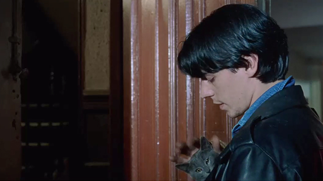 Datk Habits - Jorge Willmore holding blue grey short hair kitten