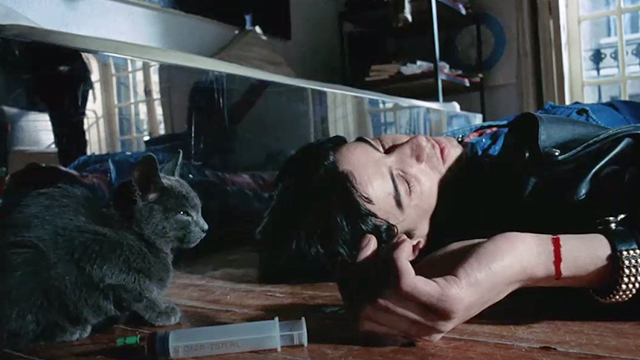 Datk Habits - Jorge Willmore dead on floor with blue grey short hair kitten