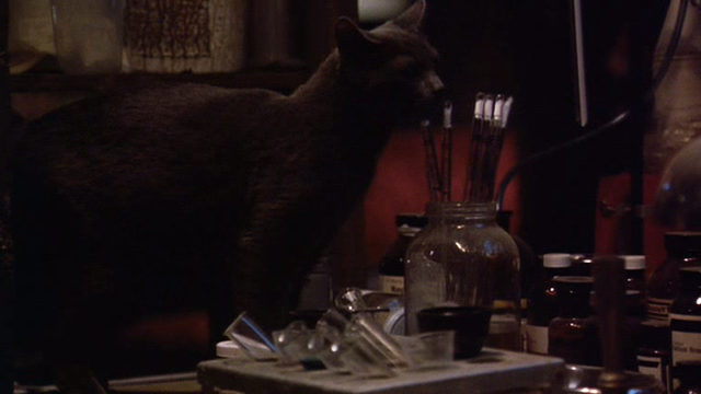 Darkman III: Die Darkman Die - gray cat by jar