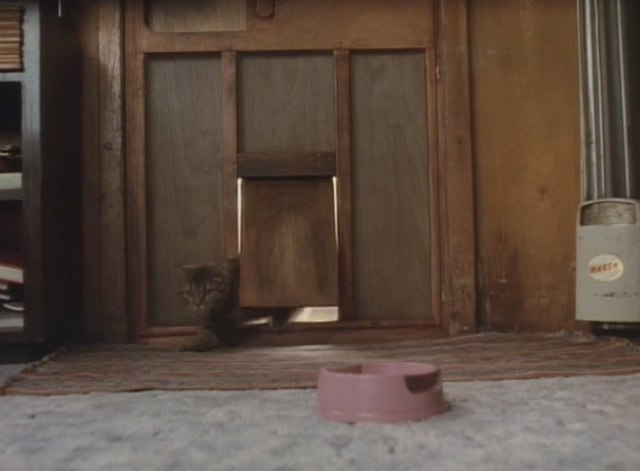 The Dark Wind - tabby cat coming through cat door