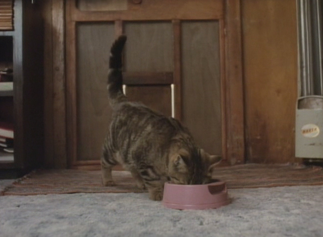 The Dark Wind - tabby cat eating from food bowl