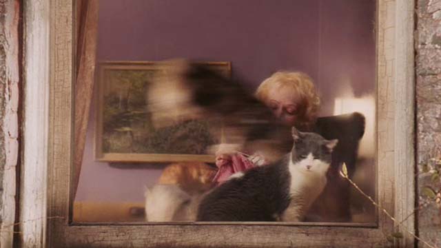 Date Movie - cat lady Beverly Polcyn with cats flying as seen through window