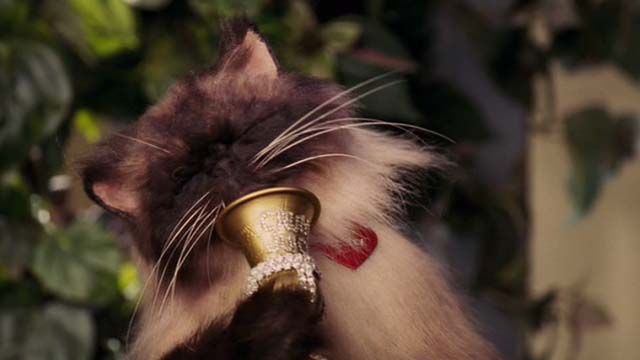 Date Movie - Himalayan cat puppet Jinxers getting drunk
