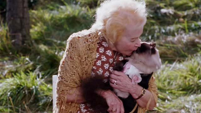 Date Movie - Himalayan cat puppet Jinxers kissing cat lady Beverly Polcyn