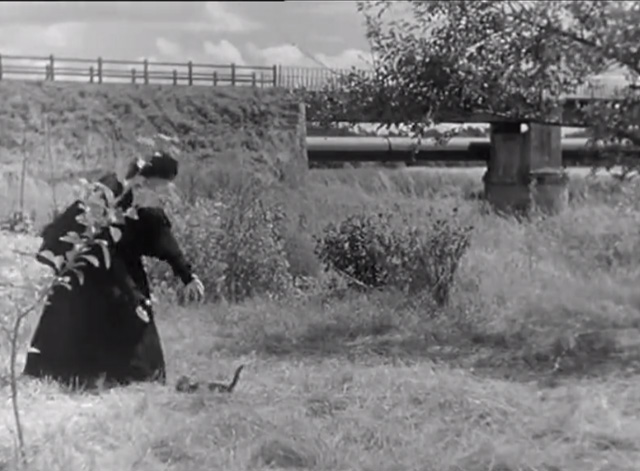 A Day in the Country - grandmother Gabrielle Fontan spots tabby kitten in grass