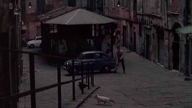 The Day of the Jackal - white kitten with black markings on street walking as the Jackal Edward Fox approaches