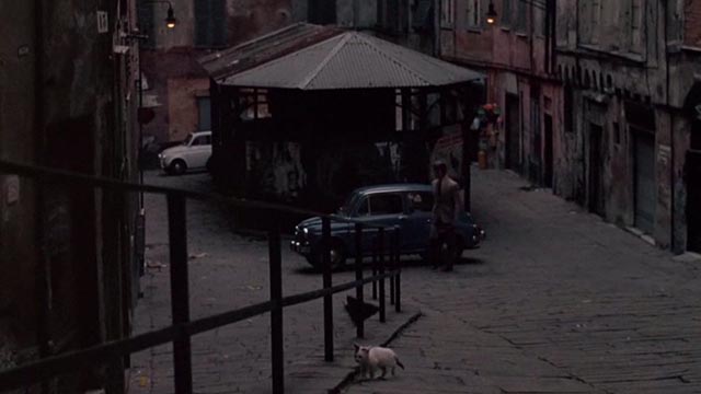 The Day of the Jackal - white kitten with black markings by railings as the Jackal Edward Fox approaches