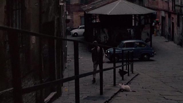 The Day of the Jackal - white kitten with black markings crouched by railings as the Jackal Edward Fox approaches