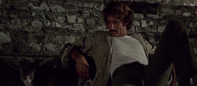 The Dead are Alive - L'etrusco uccide ancora - Jason Alex Cord with small tabby and white cat