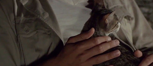 The Dead are Alive - L'etrusco uccide ancora - small tabby and white cat in arms
