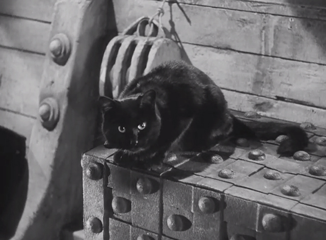 Dead Men Tell - black cat on chest