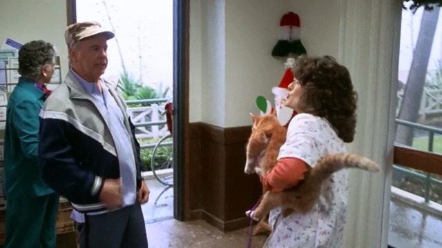 Dear God - Nurse takes orange and white cat from Herman Dooly Tim Conway