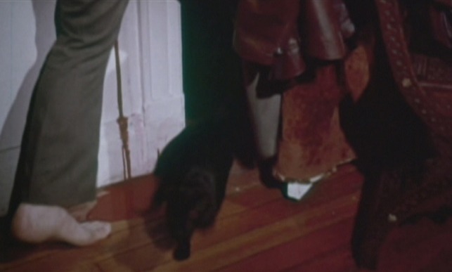 Death by Invitation - black cat runs from room