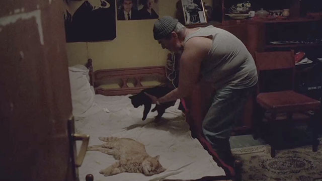 The Death of Mr. Lazarescu - Ion Fiscuteanu placing black kitten Fritz on bed with sleeping ginger tabby cat Nusu