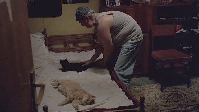 The Death of Mr. Lazarescu - Ion Fiscuteanu placing black kitten Fritz on bed with sleeping ginger tabby cat Nusu