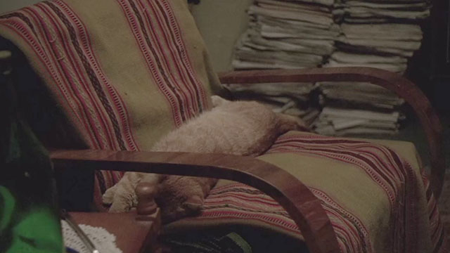 The Death of Mr. Lazarescu - ginger tabby cat Nusu sleeping on chair