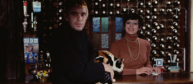 Death Walks on High Heels - La morte cammina con i tacchi alti - Hallory Luciano Rossi holding calico cat on bar with Peggy Rachela Pamenti