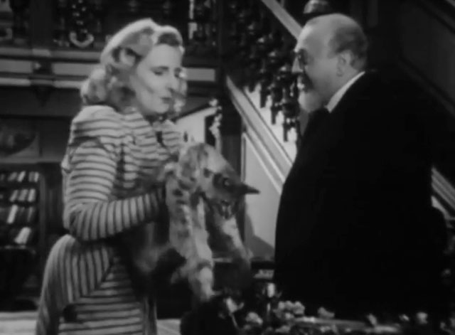 Death Walks in the Rain - La muerte camina en la lluvia - longhair tabby cat set on table by Valeria Duval Margarita Corona with Professor Miranda