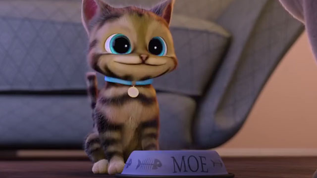 Decaf - tabby kitten MoeMoe after drinking caffeine
