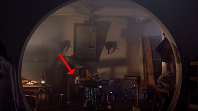 Deer Hunter - white cat on table in background