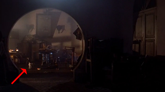 Deer Hunter - white cat on floor in background