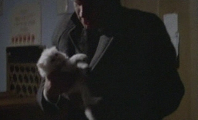 The Defector - Heinzmann picks up white kitten in synagogue