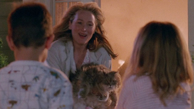 Defending Your Life - Julia Meryl Streep carrying longhair gray and white Persian tabby cat from burning building to children