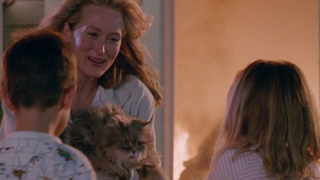 Defending Your Life - Julia Meryl Streep carrying longhair gray and white Persian tabby cat from burning building to children
