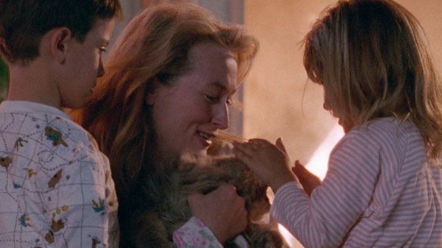 Defending Your Life - Julia Meryl Streep carrying longhair gray and white Persian tabby cat from burning building to children