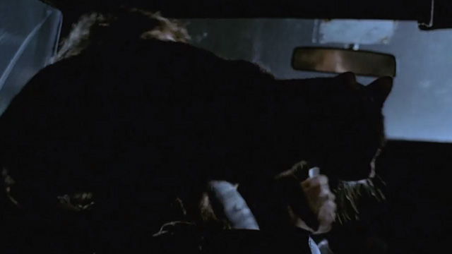 Deliria - black tabby cat Lucifer jumps up on back of front seat in car