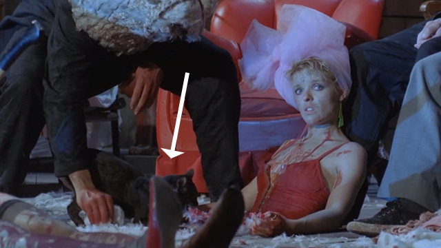 Deliria - black tabby cat Lucifer gnawing at body on bloody stage