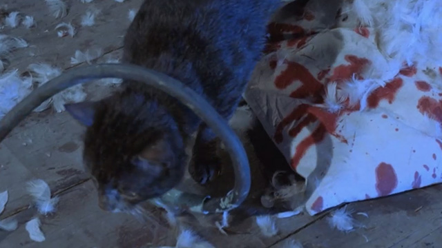 Deliria - black tabby cat Lucifer bumping into wire