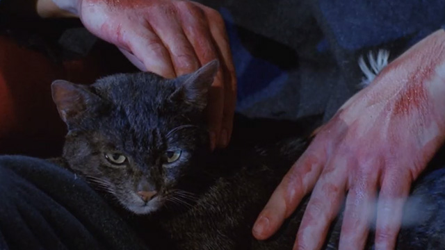 Deliria - close of black tabby cat Lucifer sitting on lap of owl headed killer Wallace on bloody stage