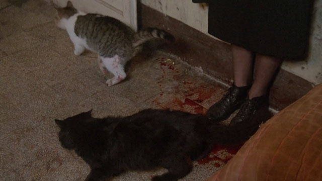 Demonia - cats dropping to bloody floor