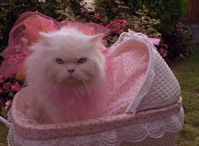 Dennis the Menace Strikes Again - long haired white cat Mr. Coodles in baby carriage