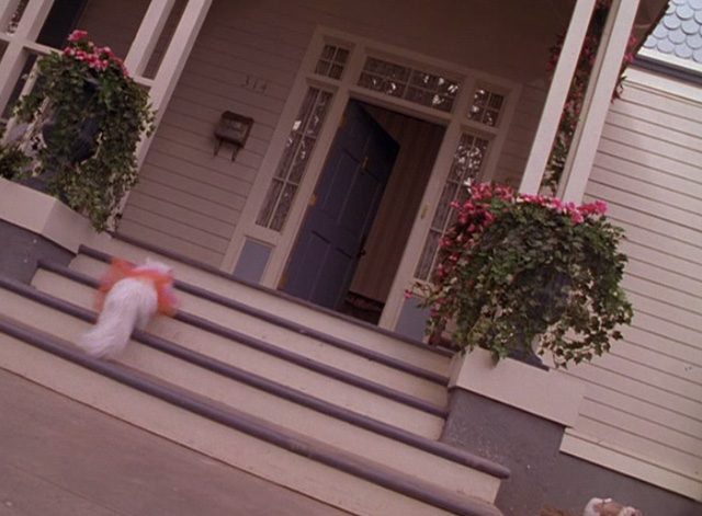 Dennis the Menace Strikes Again - long haired white cat Mr. Coodles in pink tutu running up front steps